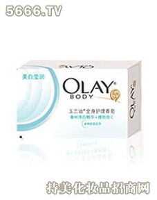 寶泰日用品 品牌介紹 可以加盟嗎