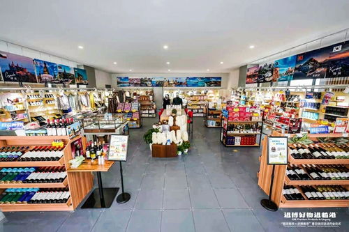 進博首發新品進駐滴水湖，日用品貿易簽約熱 臨港如何實現投資與人氣雙向奔赴